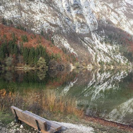 Pr'Mruzo Apartmaji Bohinj Exteriér fotografie